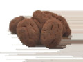 Truffes de Noix de Pécan - Noix Enrobées Chocolat Cacao