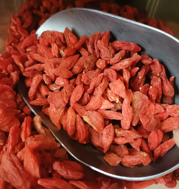Baies de Goji - Le fruit de la jeunesse éternelle et de l'énergie