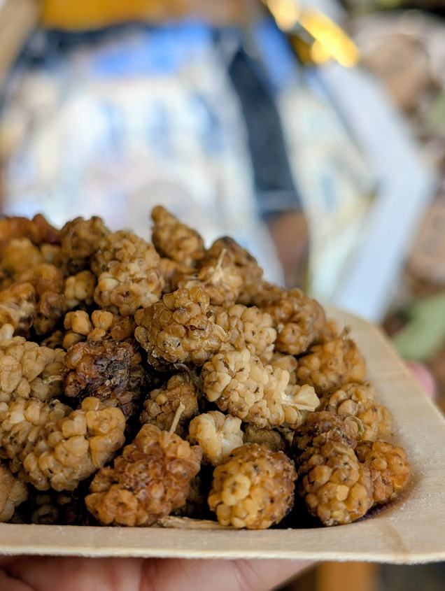 Mûres Déshydratées - THE NUTS SHOP