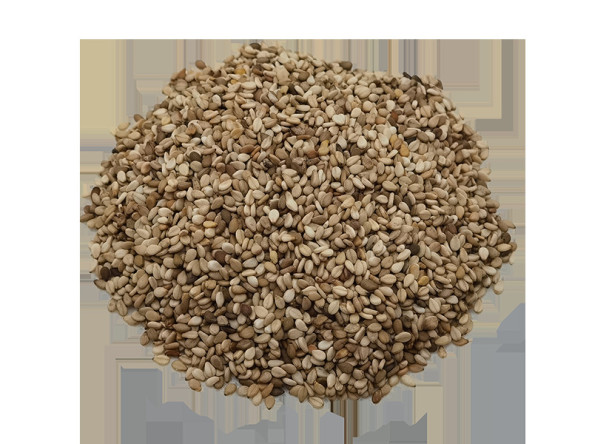 Sésames Blond Complet BIO - THE NUTS SHOP