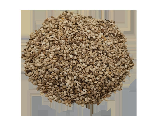 Sésames Blond Complet BIO - THE NUTS SHOP
